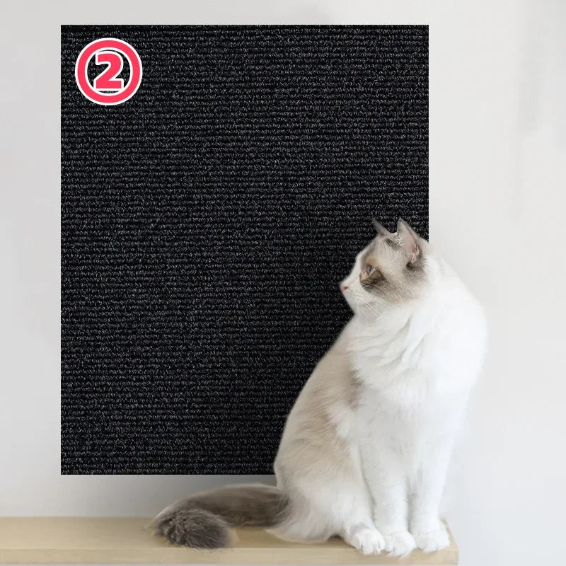 Scratchi