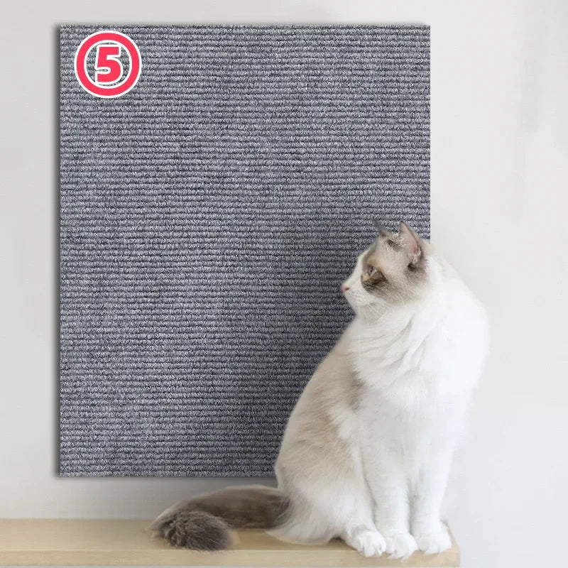 Scratchi