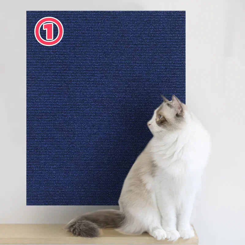 Scratchi