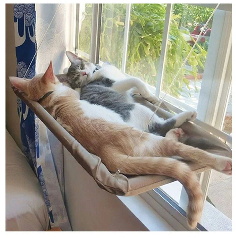 Fensterpfote