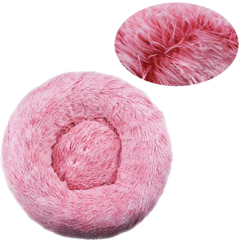 Roundy