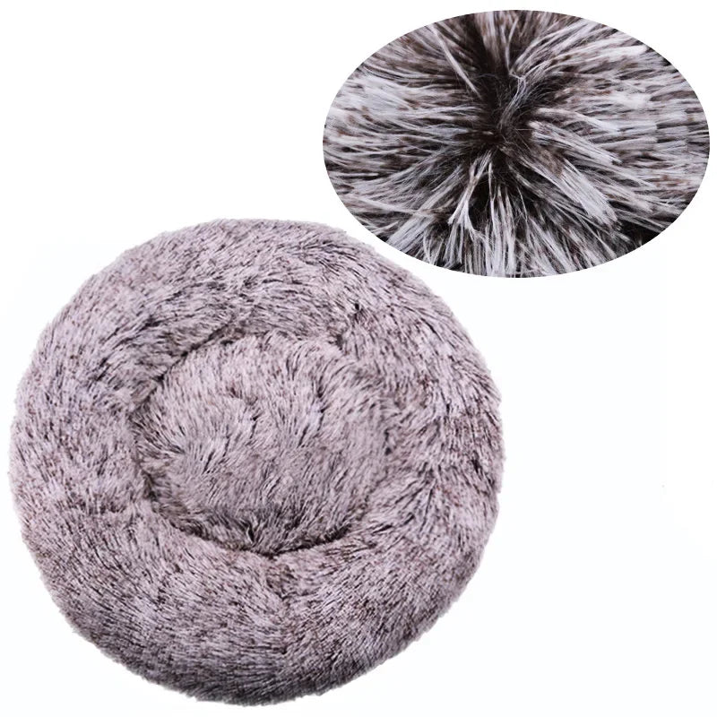 Roundy