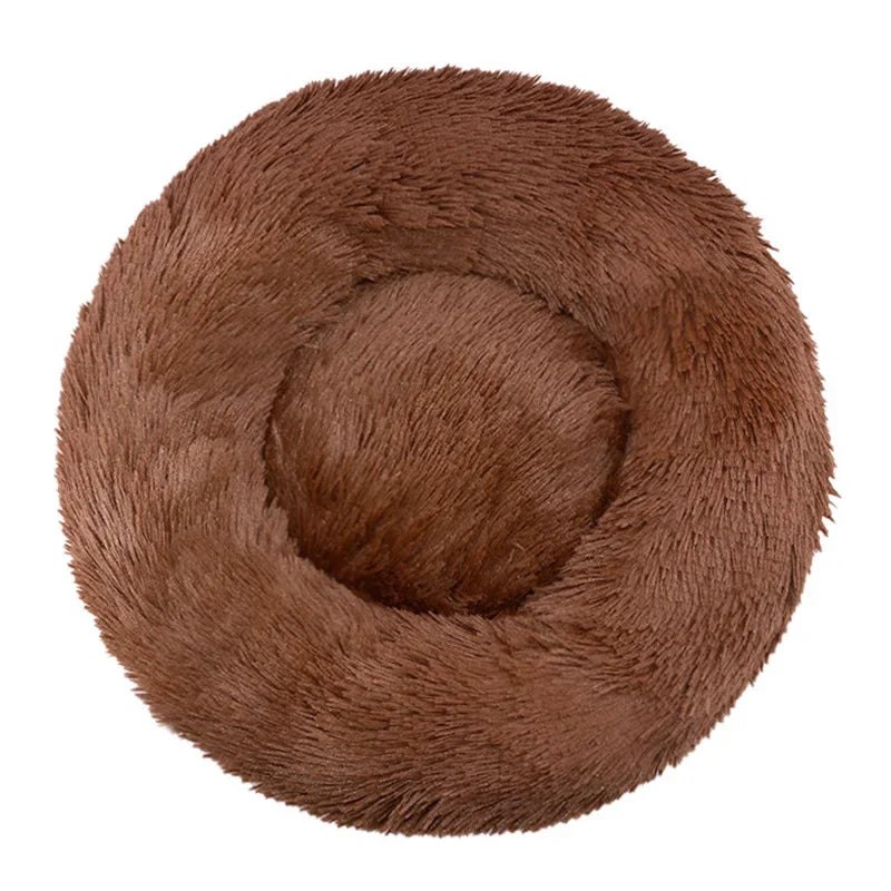 Roundy