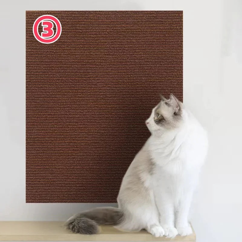 Scratchi