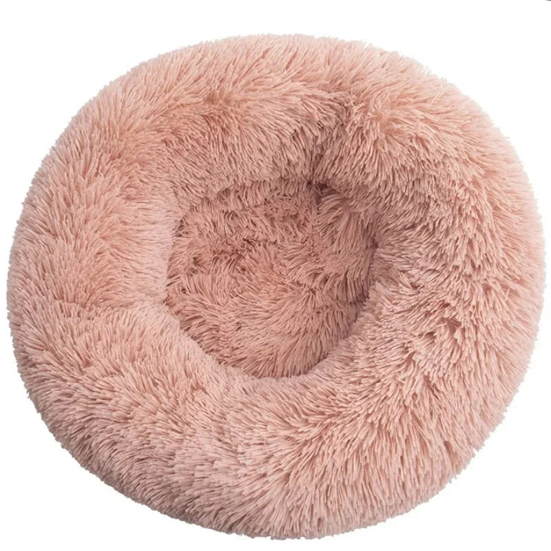 Roundy