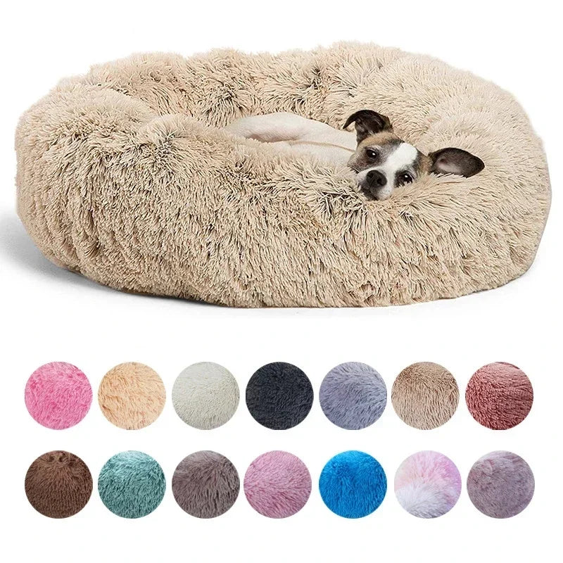 Roundy
