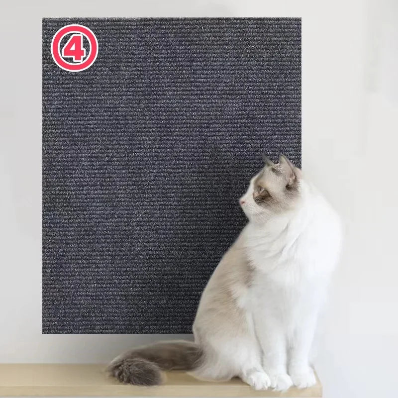 Scratchi
