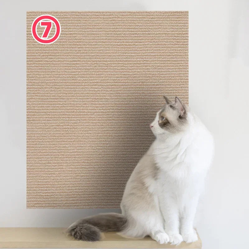 Scratchi
