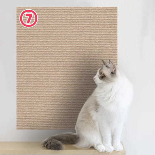 Scratchi
