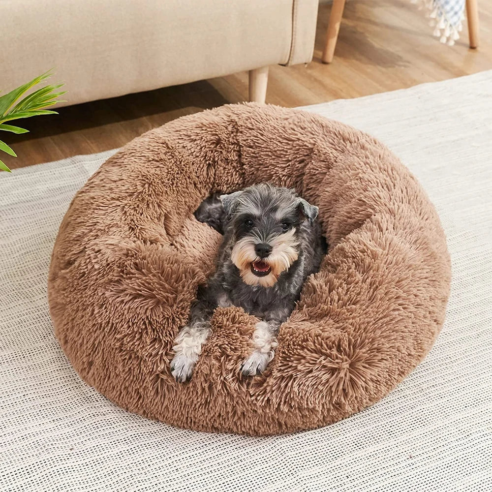 Roundy