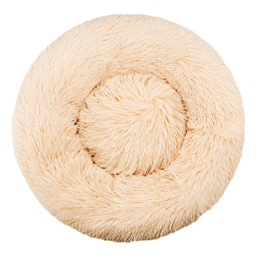 Roundy