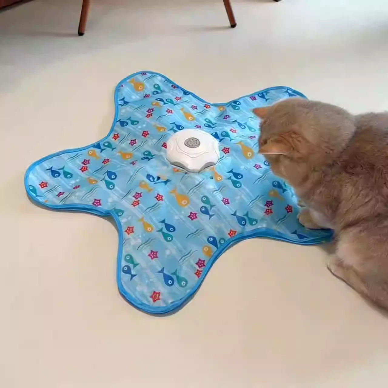 Automatic Electric Cat Turntable Toy