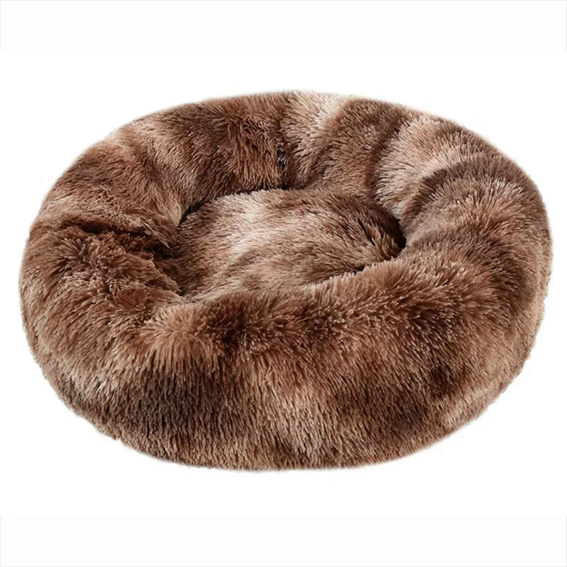 Roundy