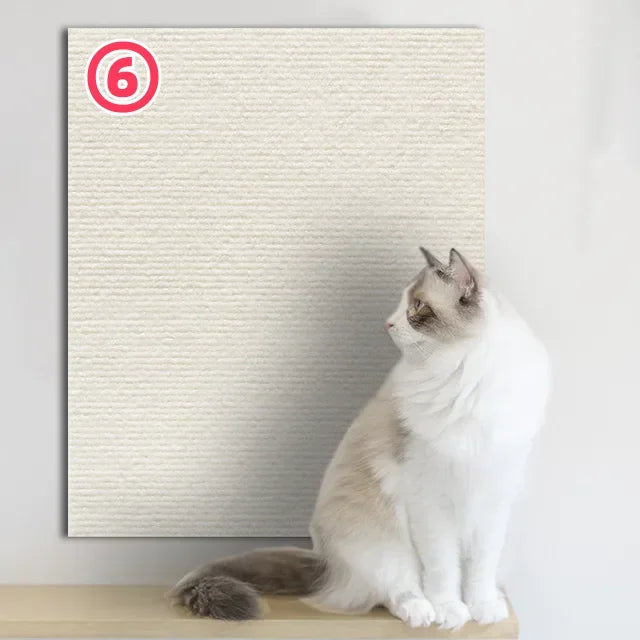 Scratchi