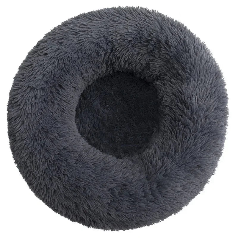 Roundy