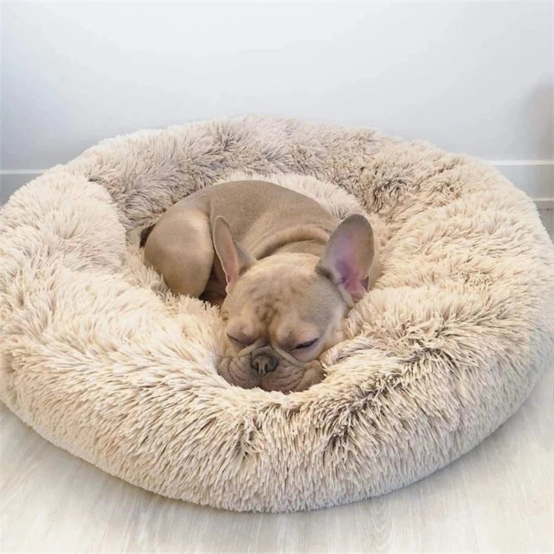 Roundy